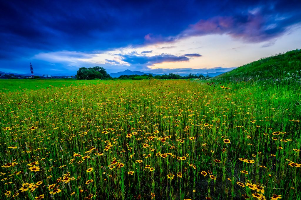 写真：黄先生の写真