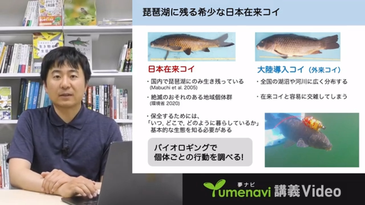 吉田 誠 講師